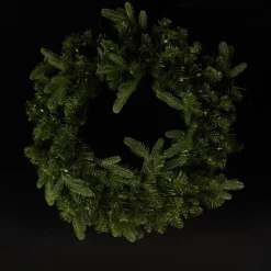 American Tree 24