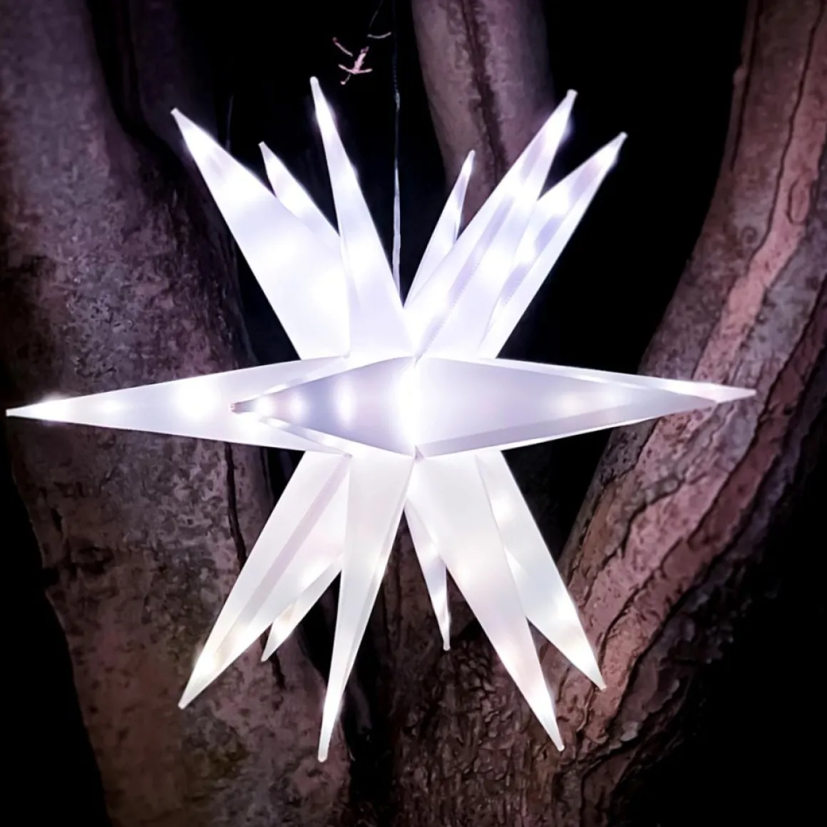 As Is Winter Lane Multifunction 22" Twinkler With Remote