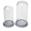 August & Leo Glass And Wood Cloche 2-Piece Set