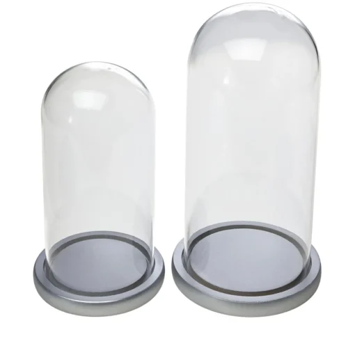 August & Leo Glass And Wood Cloche 2-Piece Set