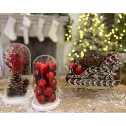 August & Leo Glass And Wood Cloche 2-Piece Set