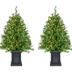 Boxwood Porch Tree In Black Pot With Warm White Lights, Set Of 2