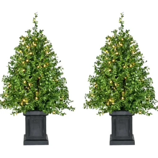 Boxwood Porch Tree In Black Pot With Warm White Lights, Set Of 2