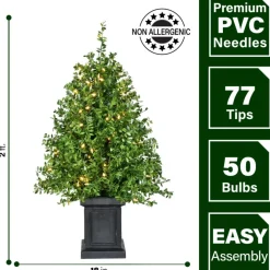 Boxwood Porch Tree In Black Pot With Warm White Lights, Set Of 2