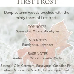 Candle Warmers Etc. 2.5 Oz. Wax Melts - Balsam Fir & First Frost