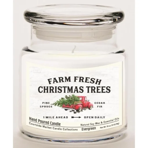 Courtside Market Fresh Farm Trees Wax Infused Candle With Glass Lid