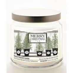 Courtside Market Merry Christmas Wax Candle With Brushed Silver Lid