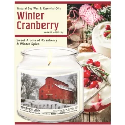 Courtside Market Soy Candle W/ Essential Oils + Lid - Snow At The Farm
