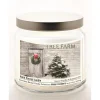 Courtside Market Tree Farm Infused Candle In Glass Jar W/ Silver Lid