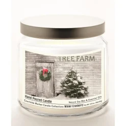Courtside Market Tree Farm Infused Candle In Glass Jar W/ Silver Lid
