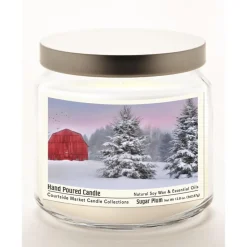 Courtside Market Tree Farm Wax Candle In Glass Jar With Silver Lid