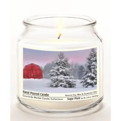 Courtside Market Tree Farm Wax Candle In Glass Jar With Silver Lid