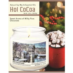 Courtside Market Winter Wonderland Infused Soy Candle In Glass Jar