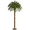 4 Ft. Christmas Palm Artificial Tree With 150 Warm White Led Lights