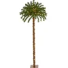 5 Ft. Christmas Palm Artificial Tree With 150 Warm White Led Lights