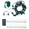Holidynamics Rgb C9 Bulb Starter Kit With Remote