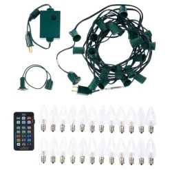 Holidynamics Rgb C9 Bulb Starter Kit With Remote