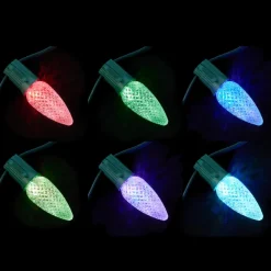 Holidynamics Rgb C9 Bulb Starter Kit With Remote