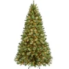 7.5' Pre-Lit Teton Pine Artificial Christmas Tree - 600 Clear Lights