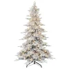 Puleo International 9 Ft Pre-Lit Utah Fir Tree, 800 Ul Clear Lights