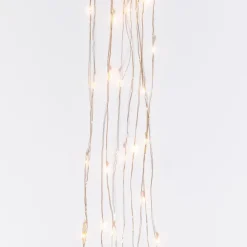 The Gerson Company 6' Warm White Led Light String Spray On Silver Wire