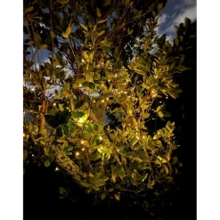 Winter Lane 150-Led Strand Of Solar-Powered Fairy Lights