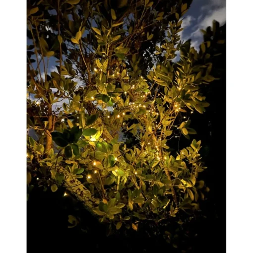 Winter Lane 150-Led Strand Of Solar-Powered Fairy Lights