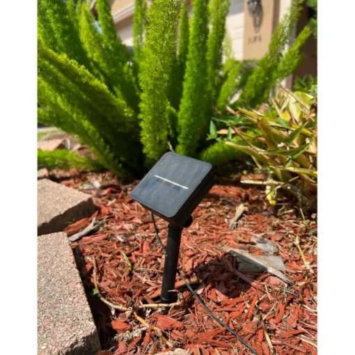 Winter Lane 150-Led Strand Of Solar-Powered Fairy Lights