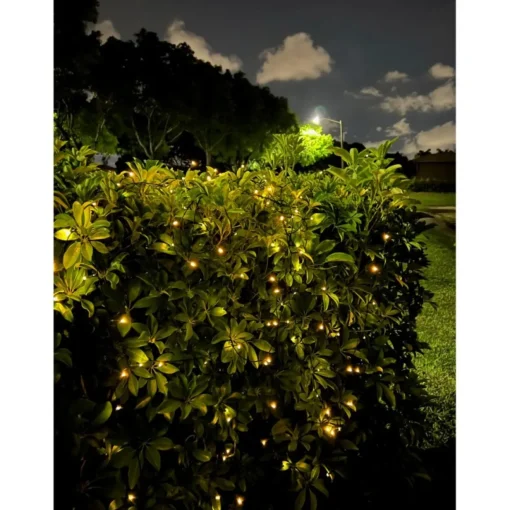 Winter Lane 150-Led Strand Of Solar-Powered Fairy Lights