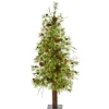 4' Wyoming Alpine Artificial Christmas Tree With 50 Clear Multifunction Led Lights And Pine Cones On